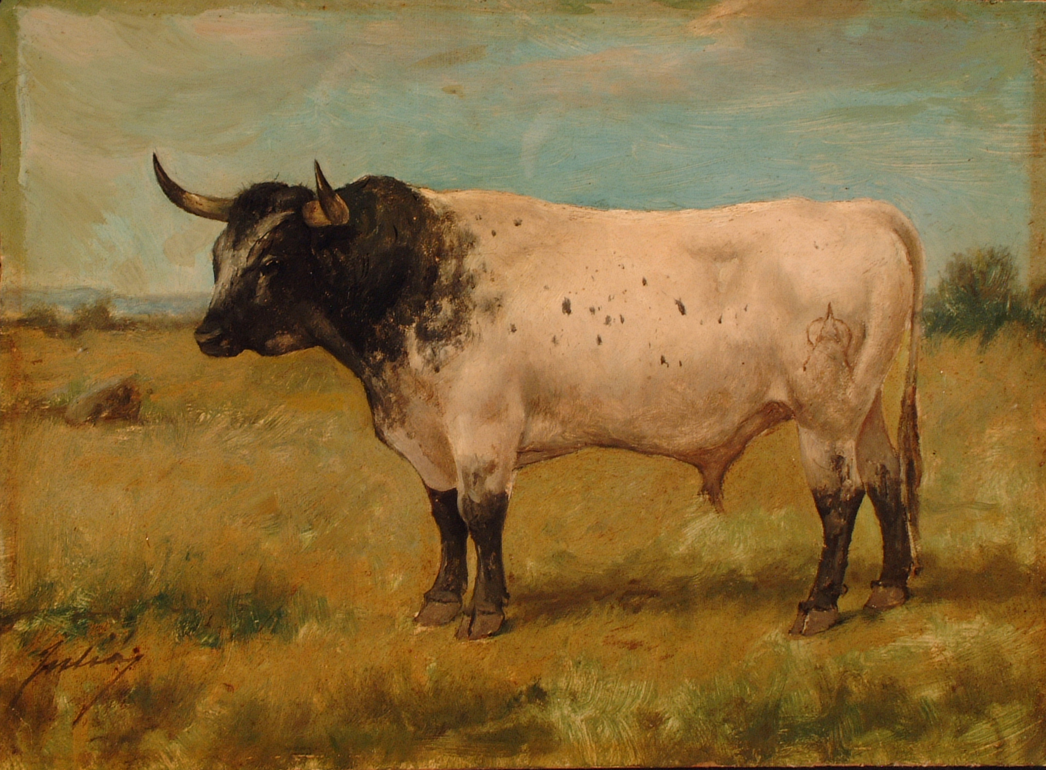 Jocinero, toro de Miura. L. Juliá, s. XIX. Archivo RMCS